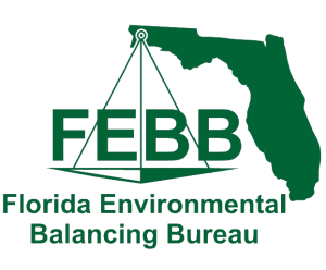 FEBB FEBB-logo